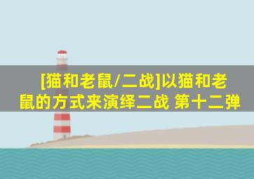 [猫和老鼠/二战]以猫和老鼠的方式来演绎二战 第十二弹